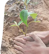 nanhi udaan
